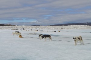 martha-iqaluit-DSC_0018