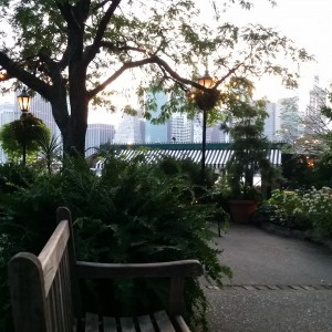 The Brooklyn Bridge Park