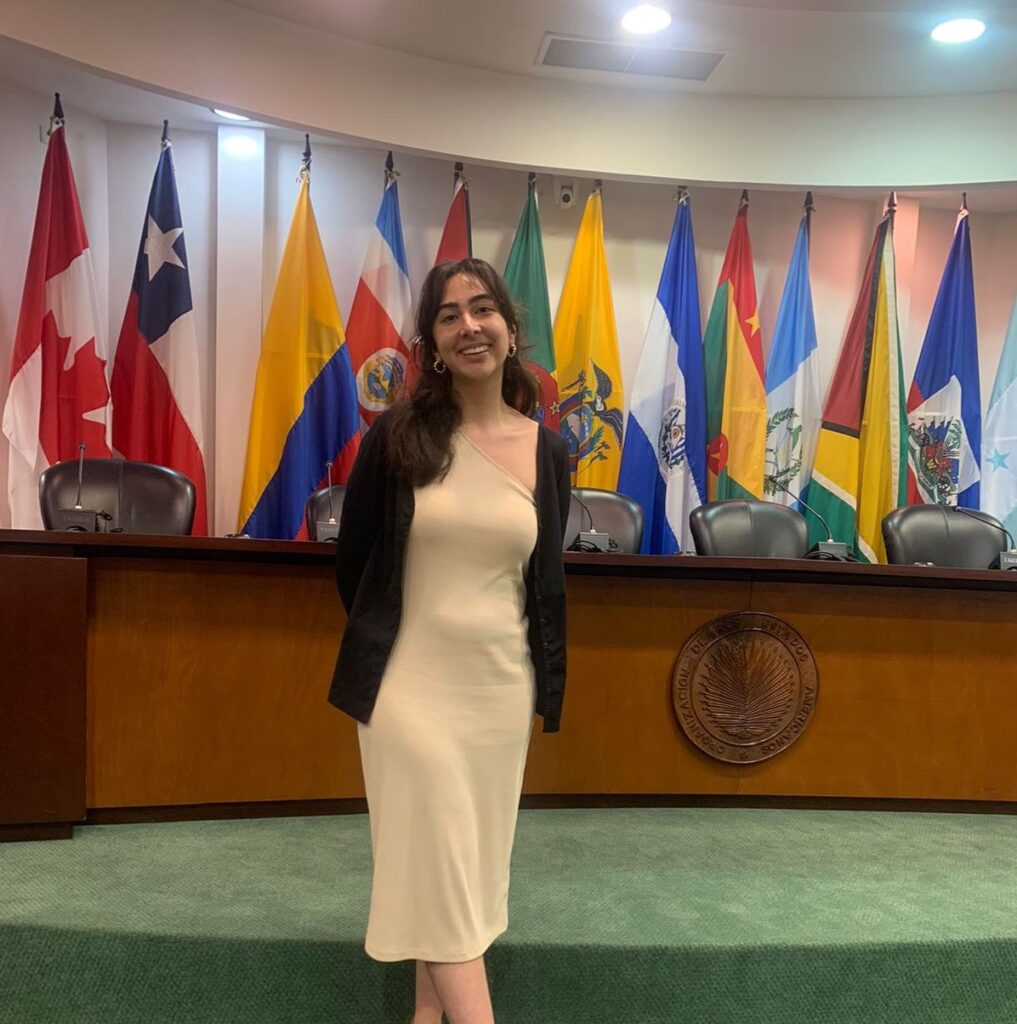 In the courtoom, in front of the flags of the member-states of the Organization of the Americas.