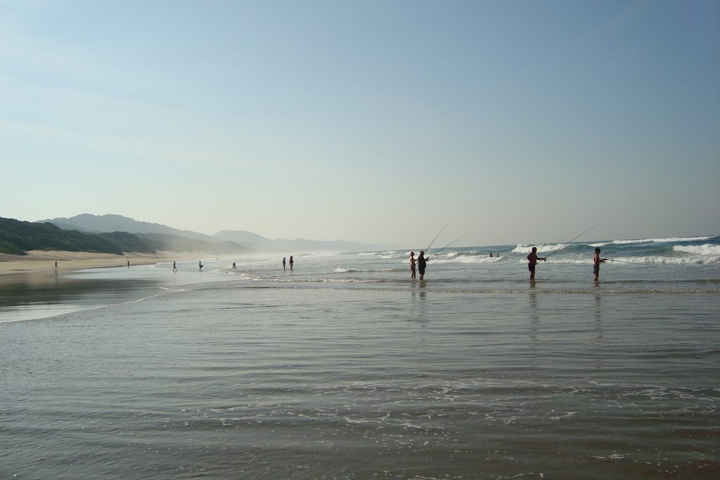 Fisherman knee-deep in the ocean on a beach lined with hills stretching as far as the eye can see.